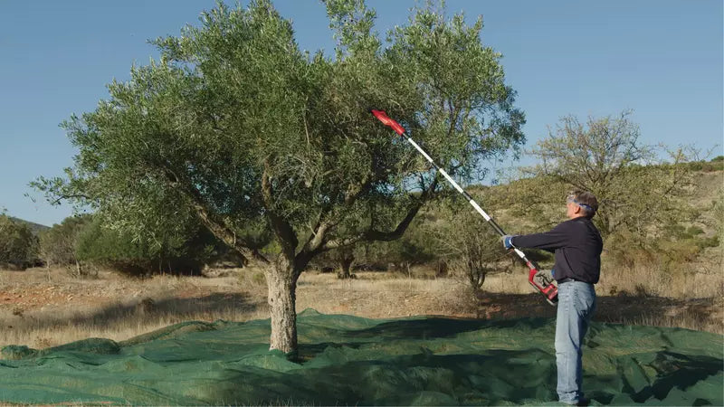 Vareador a batería GE-FS 18/53 Li-Solo Einhell